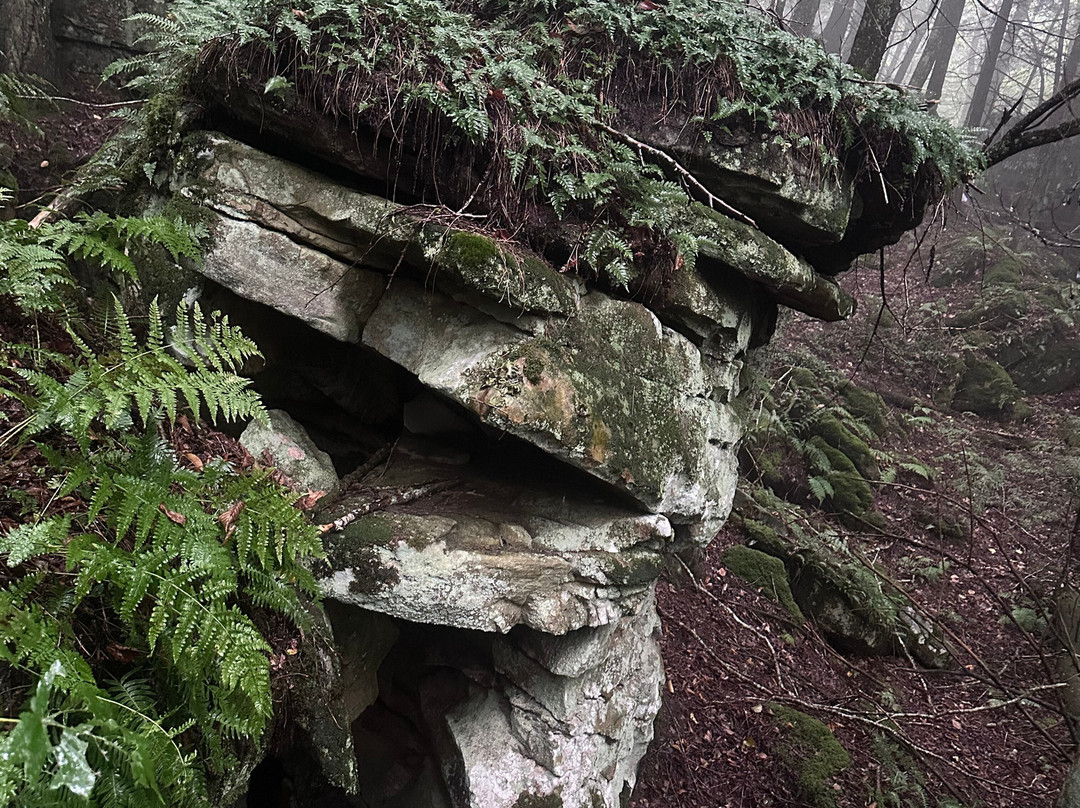 Beartown State Park-Renick必去景点