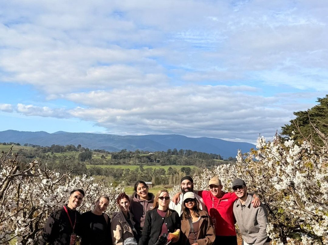 Cherryhill Orchards-Wandin East必去景点