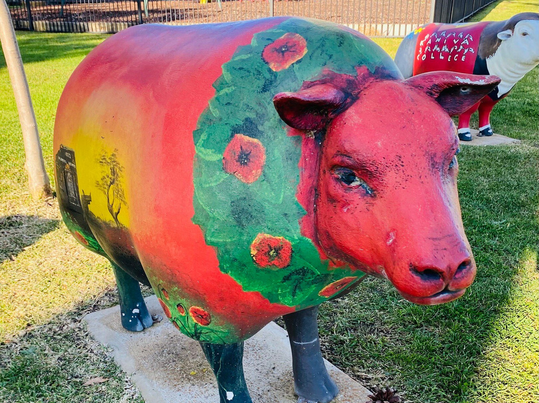 Sheep Art-Kaniva必去景点