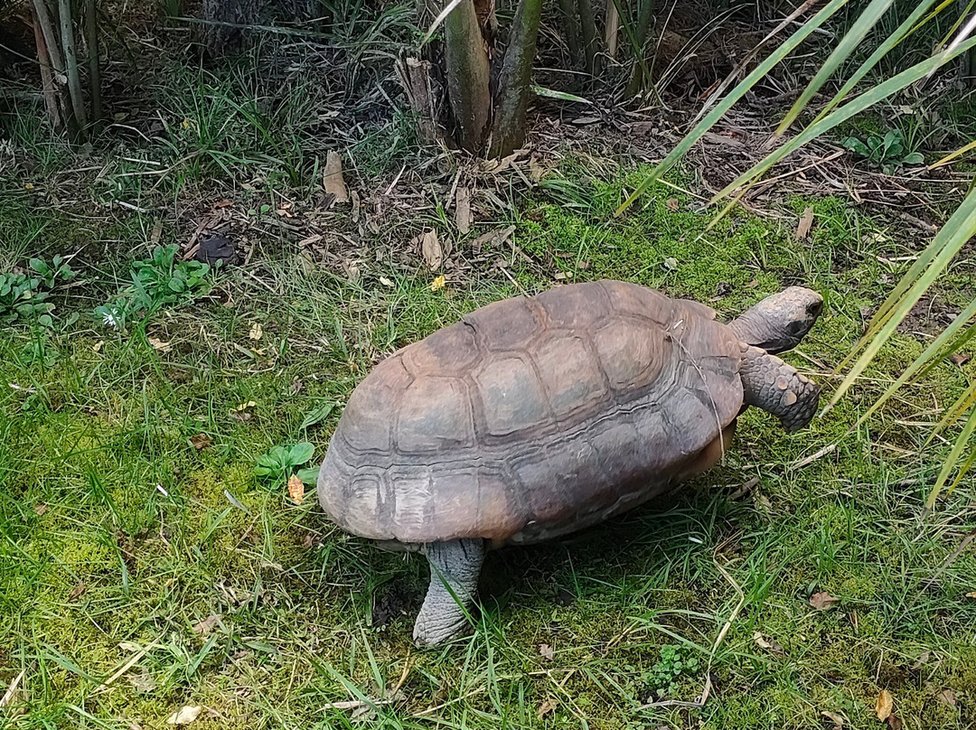 Reptile Park-瓦卡沃夫必去景点