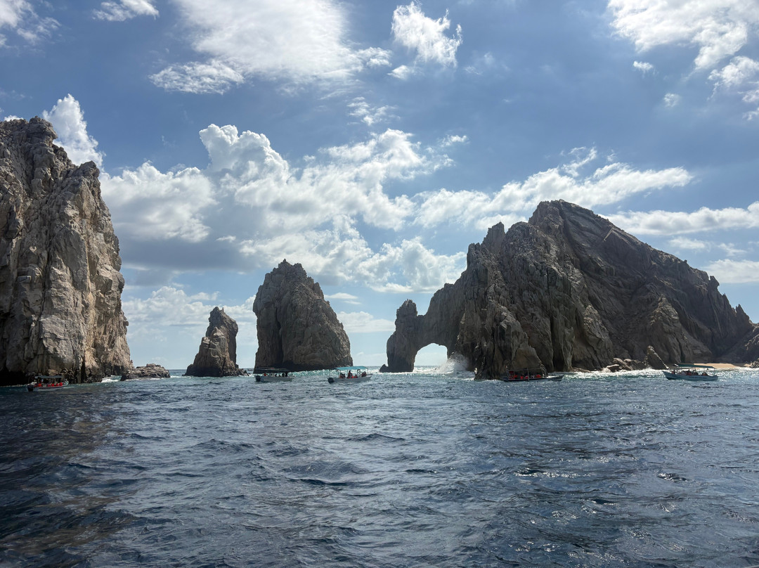 Cabo Adventures - Luxury Sailing Adventure-卡波圣卢卡斯必去景点