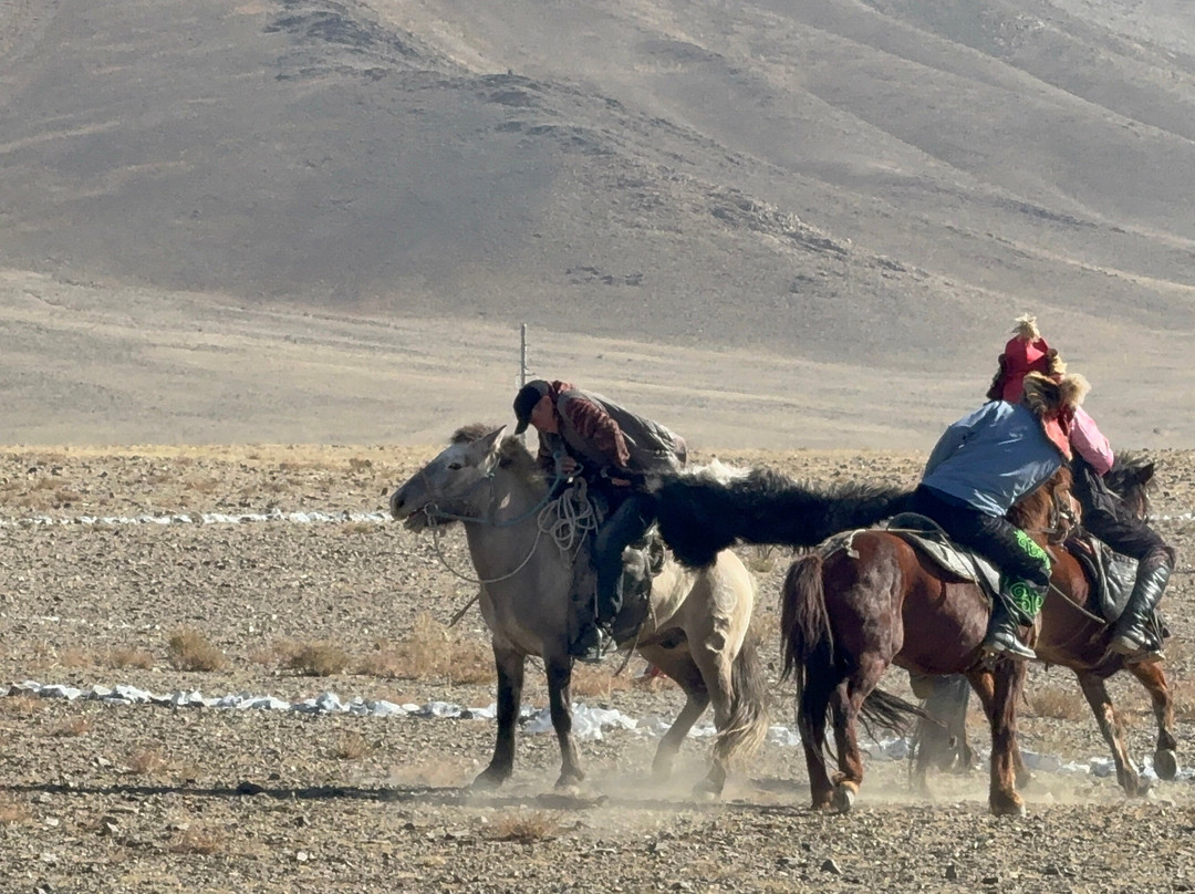 Selena Travel Mongolia-乌兰巴托必去景点