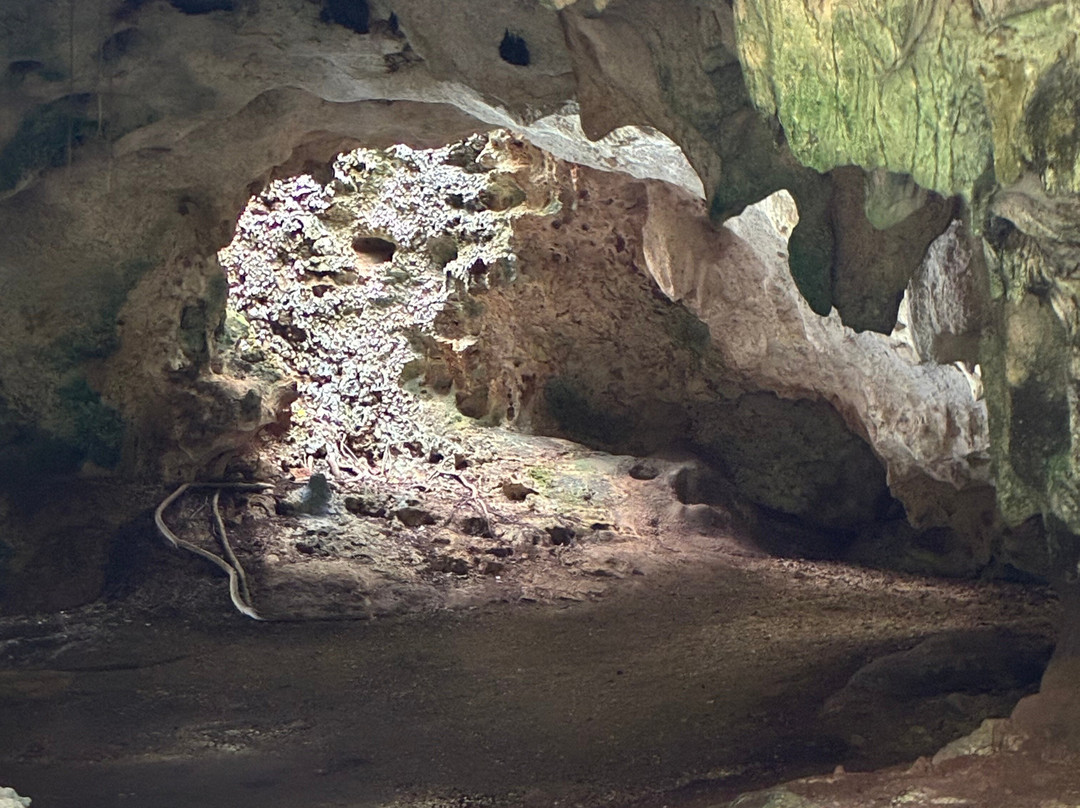 Cayman Crystal Caves-大开曼岛必去景点