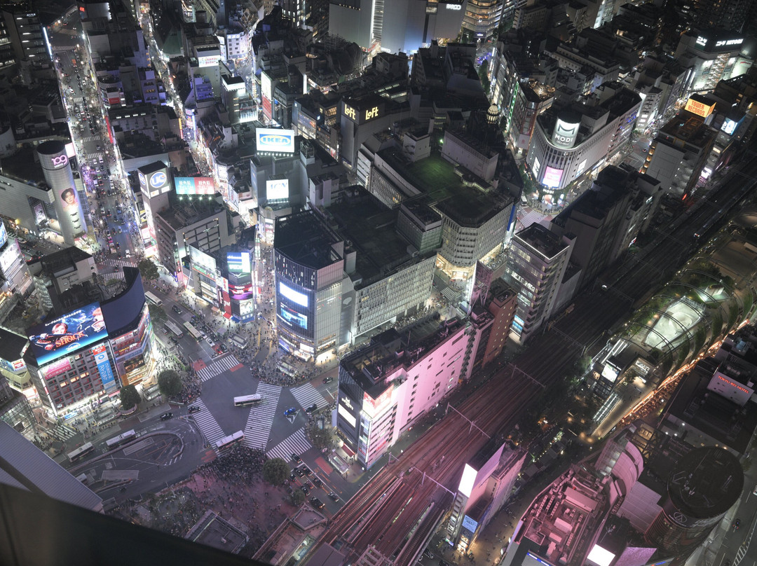 Shibuya Sky-涩谷区必去景点