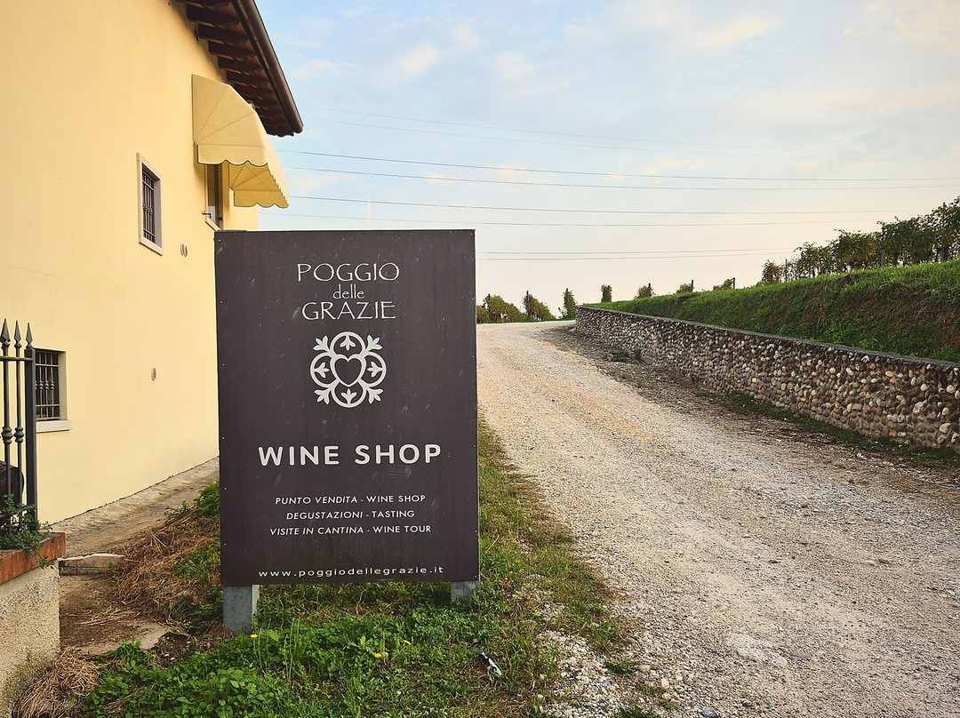 Poggio delle Grazie-卡斯泰尔诺沃德尔加尔达必去景点