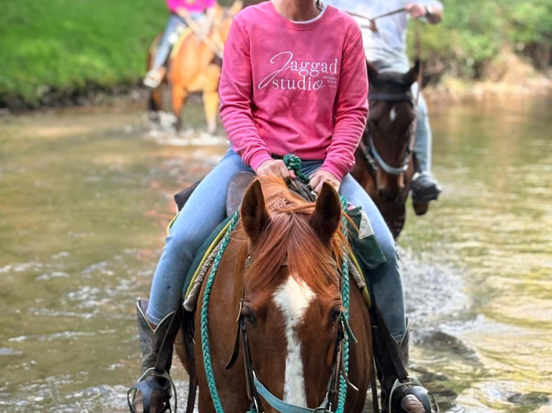 Watson's Mountain Country Trail Rides - Day Tours-曼斯菲尔德必去景点