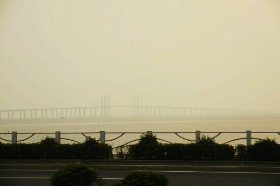 大沽河和胶州湾