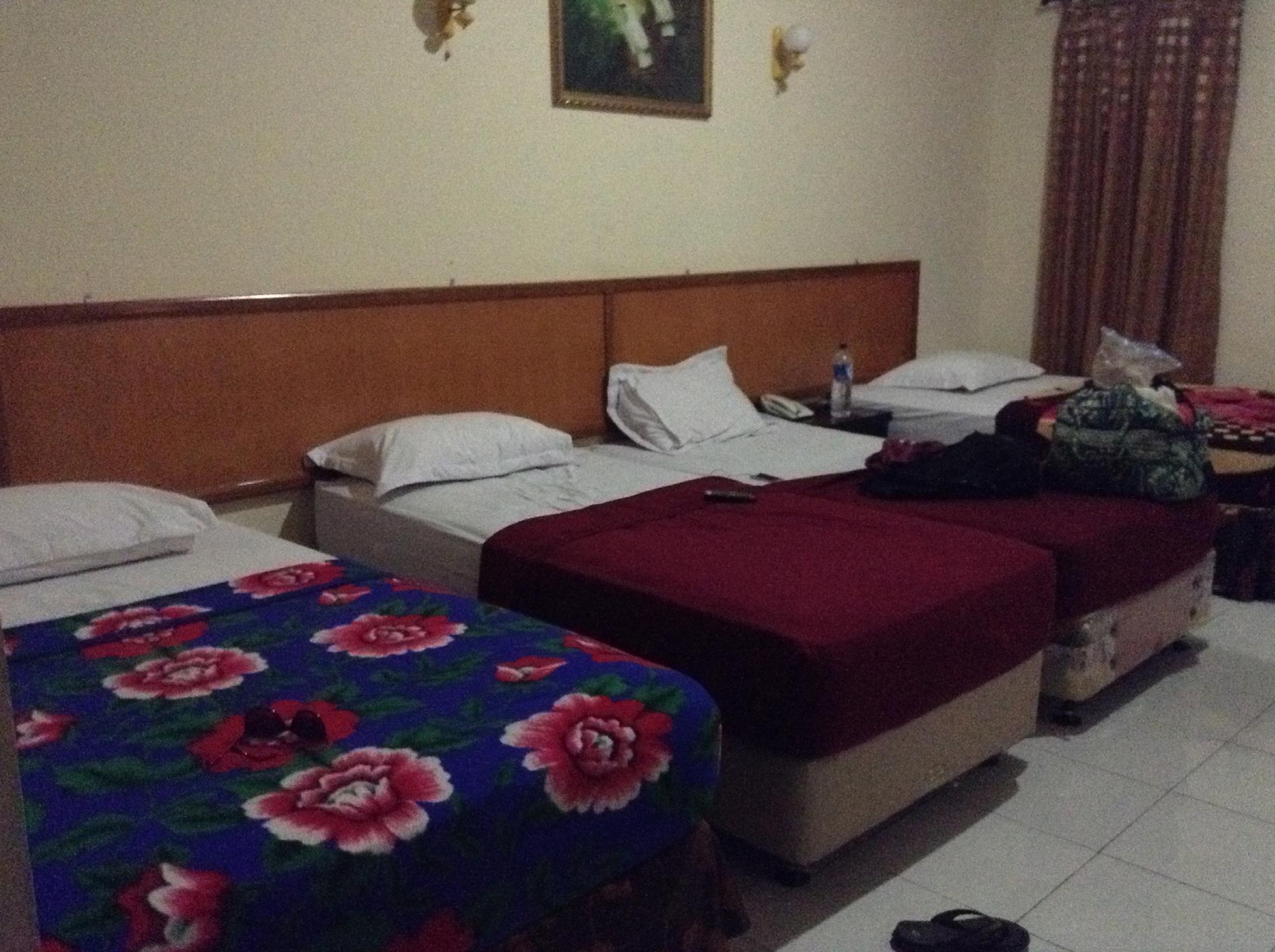 Permatahati Hotel and Convention Center-客卧