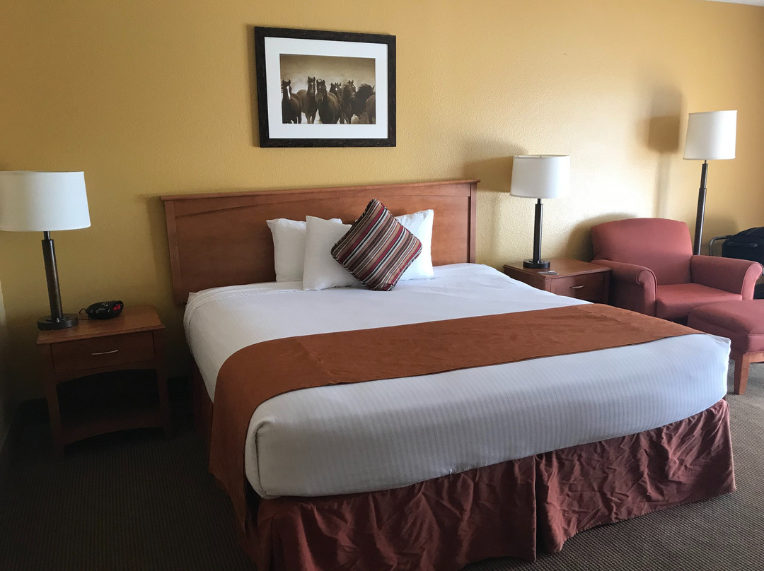 桑里奇贝斯特韦斯特酒店主图