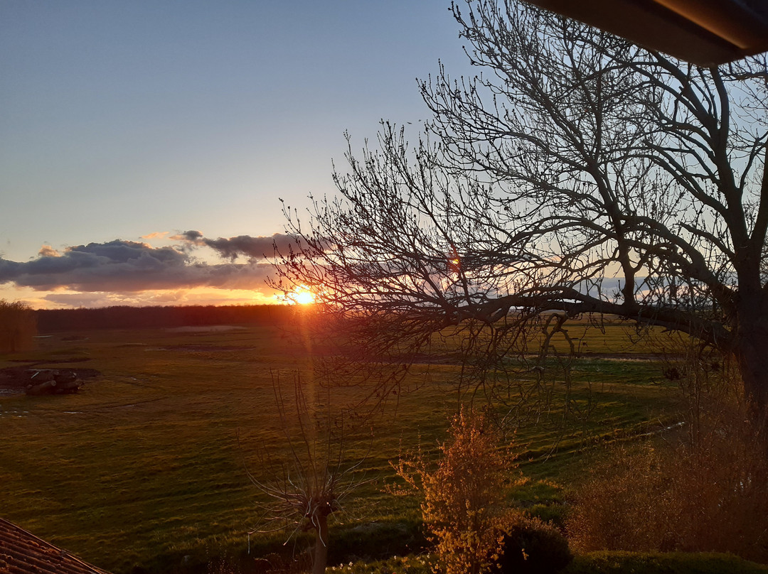 Princess Hotel Dorhout Mees主图