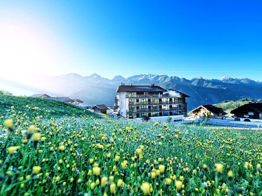 Fiss酒店住宿-Alps Lodge