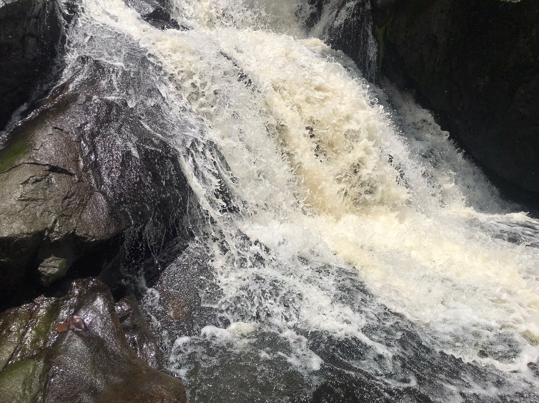 Kpatawee Waterfall景点图片