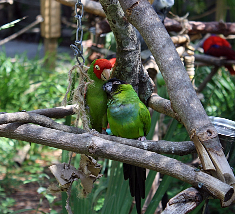 Zoo World Zoological Park景点图片