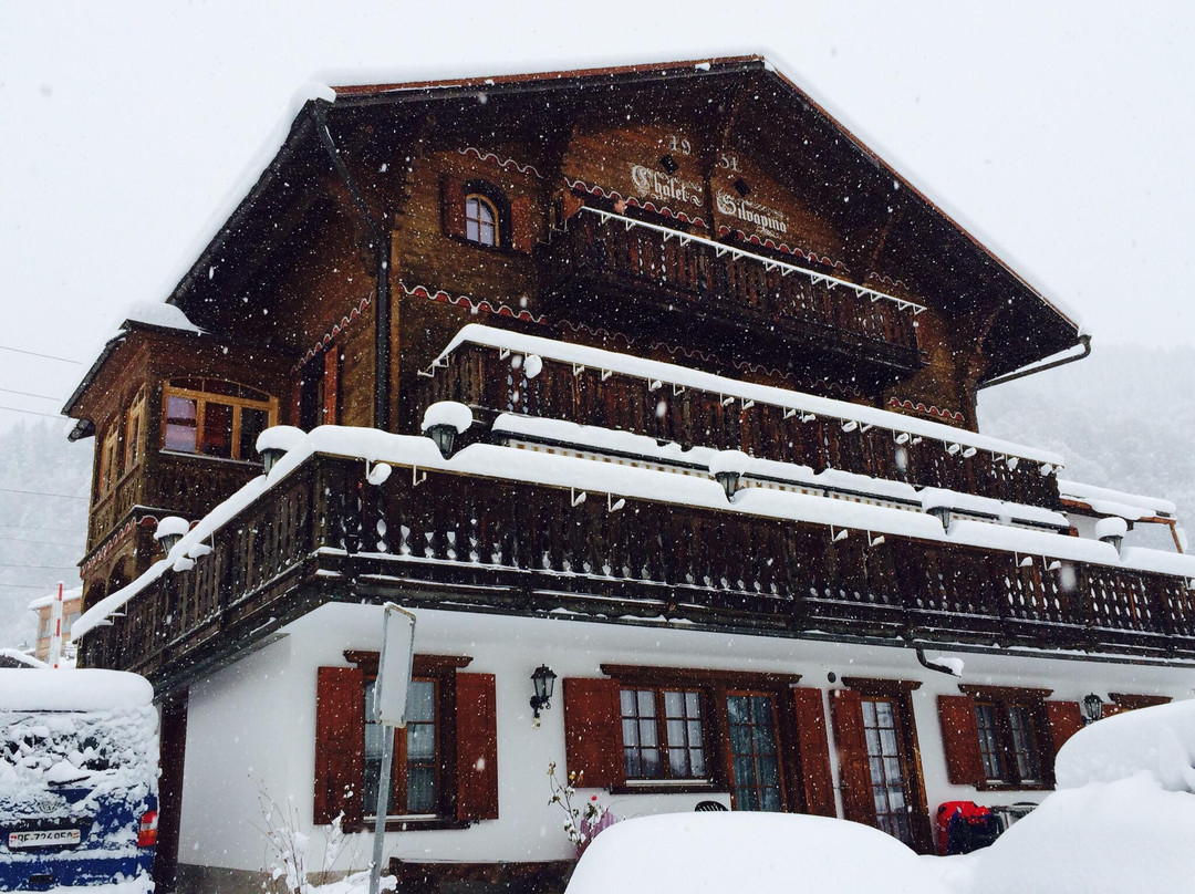 Hotel Silvapina
