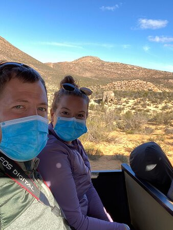 Tendi's Travel-开普敦中心区必去景点