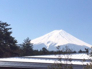 Japan Gray Line