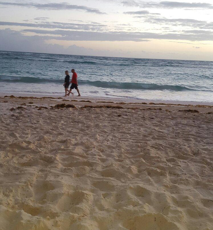 Millstone旅游景点-Foxtails Go Go