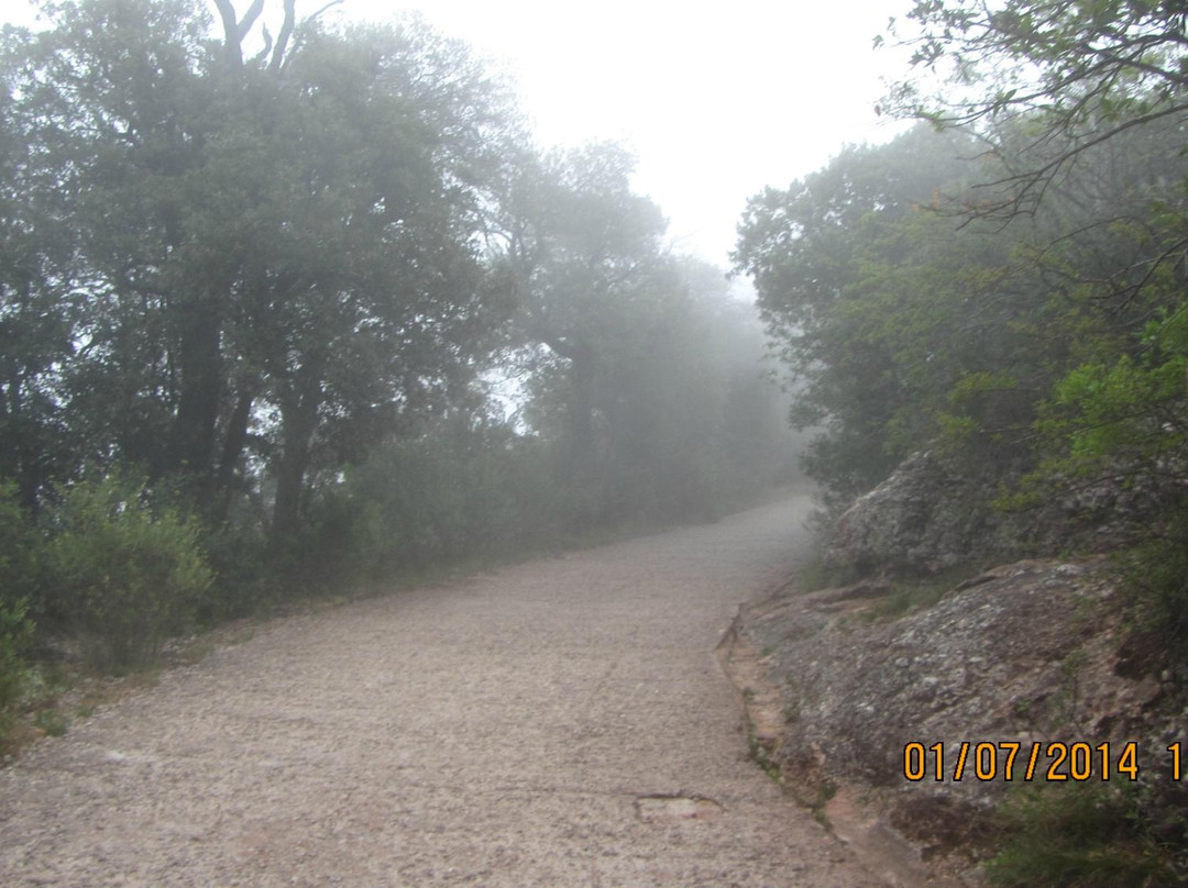 Montserrat Scenic Walking Tour景点图片