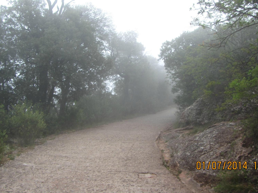 Montserrat Scenic Walking Tour