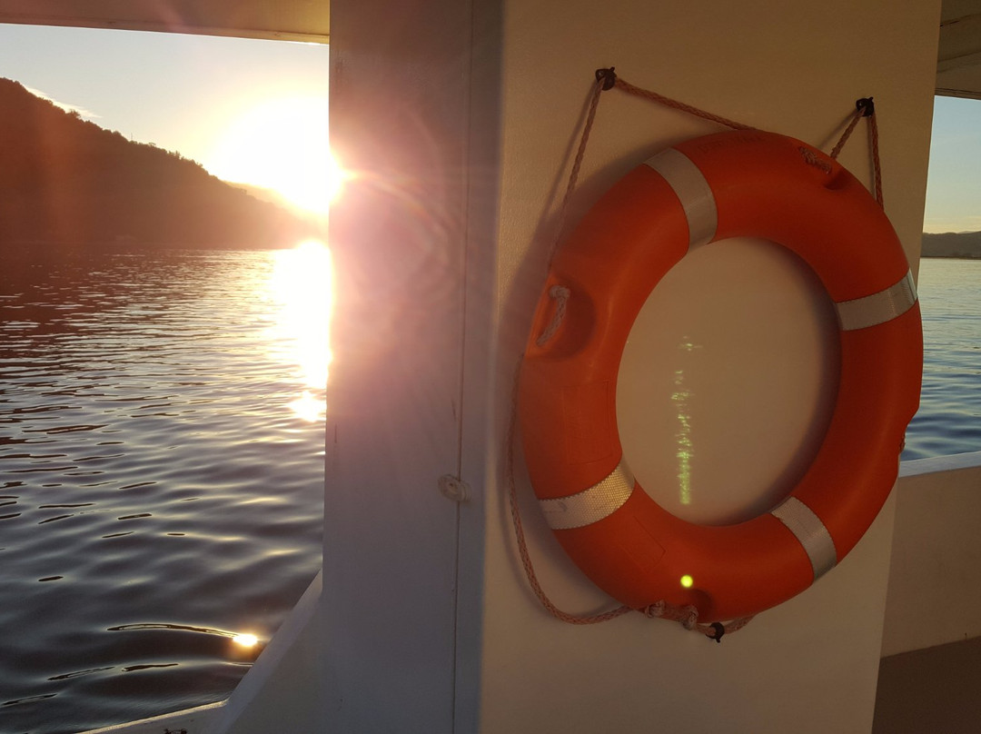 Knysna Charters-克尼斯纳必去景点