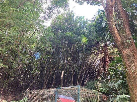 La Vallée Heureuse-Le Brule必去景点