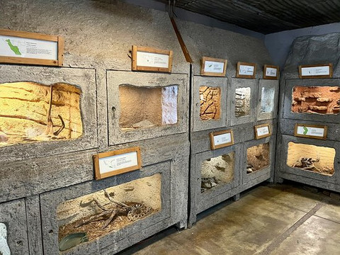 Rattlers & Reptiles-Fort Davis必去景点