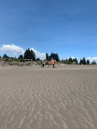 Desierto De Palmira-Chimborazo Province必去景点