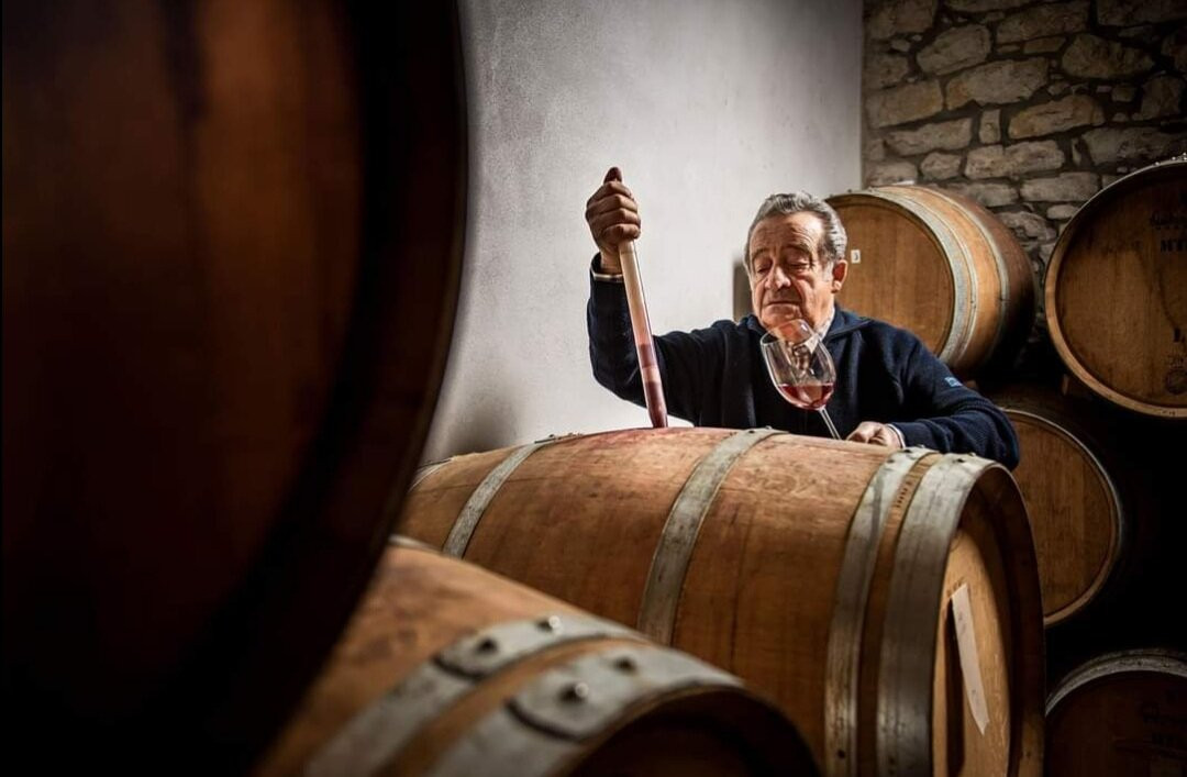 Azienda Agricola Mario Torelli景点图片