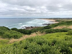Cape Woolamai Walk景点图片