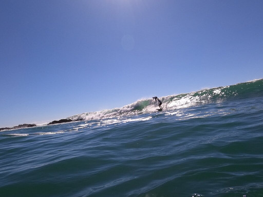 Monkey Adventures-圣特雷莎必去景点