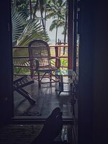 Thottada Beach House-酒店景观