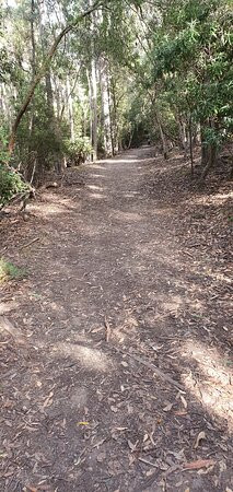 Myrtle Gully Aka Oates Falls景点图片