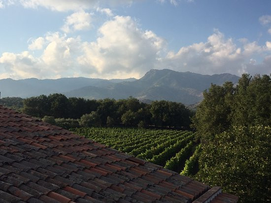 Tenuta Antica Cavalleria主图