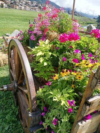 Sport Hotel Vittoria主图