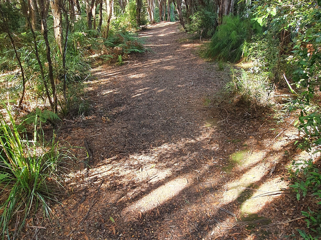 Whyte River Track-Corinna必去景点