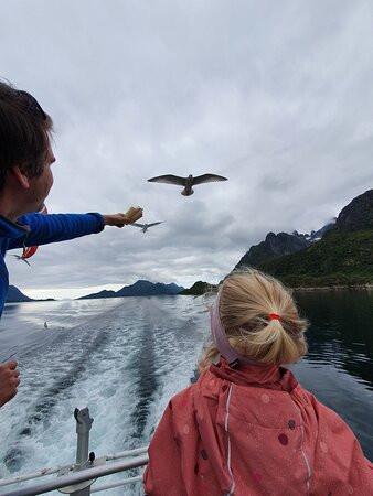Trollfjord Cruise景点图片