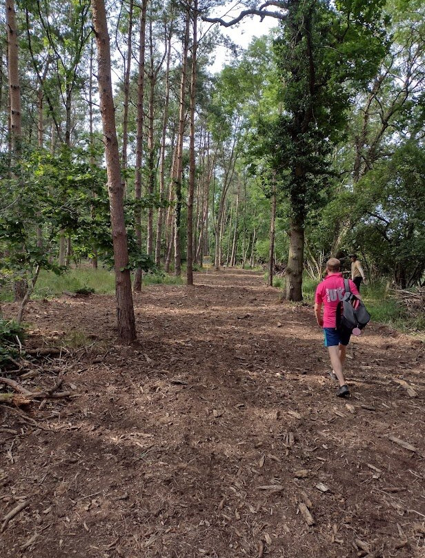 Gilly's Disc Golf景点图片