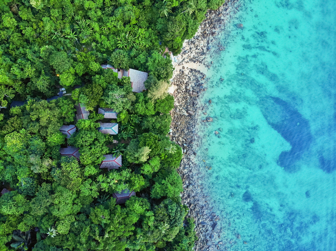 Crocodile Rock Villas