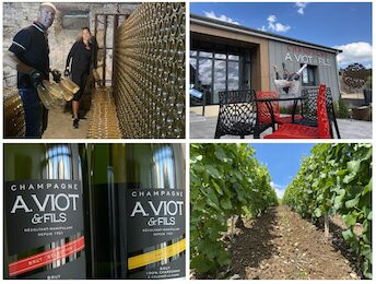 Champagne A. Viot et Fils景点图片