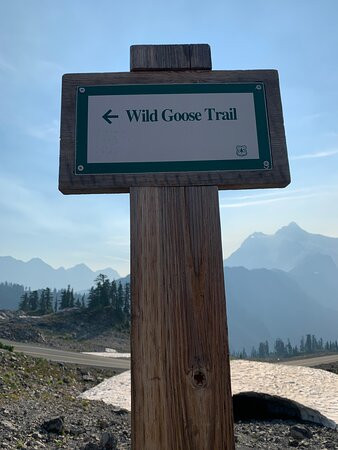 Heather Meadows Visitor Center-Deming必去景点