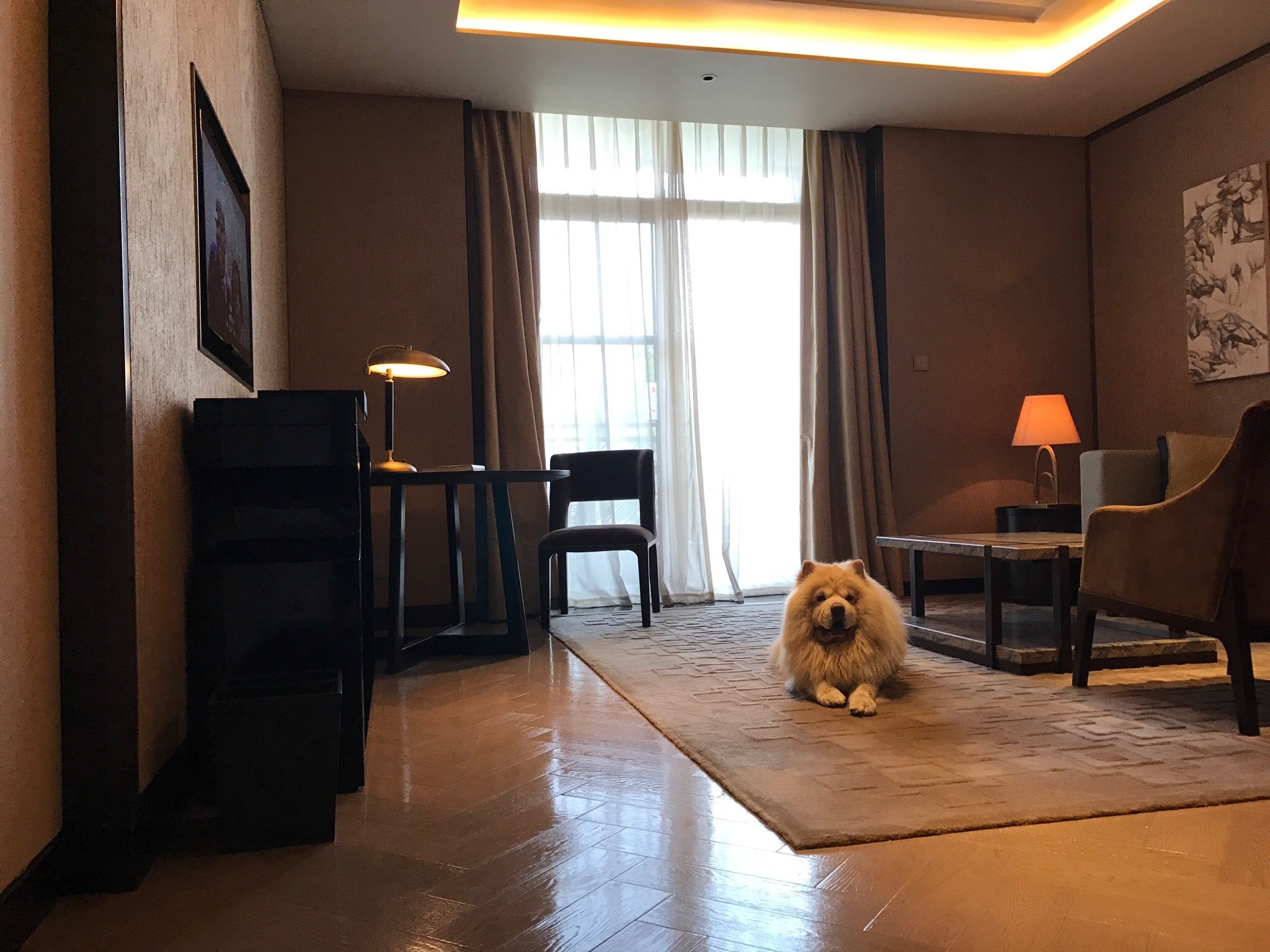 成都安仁福朋喜来登酒店-客卧