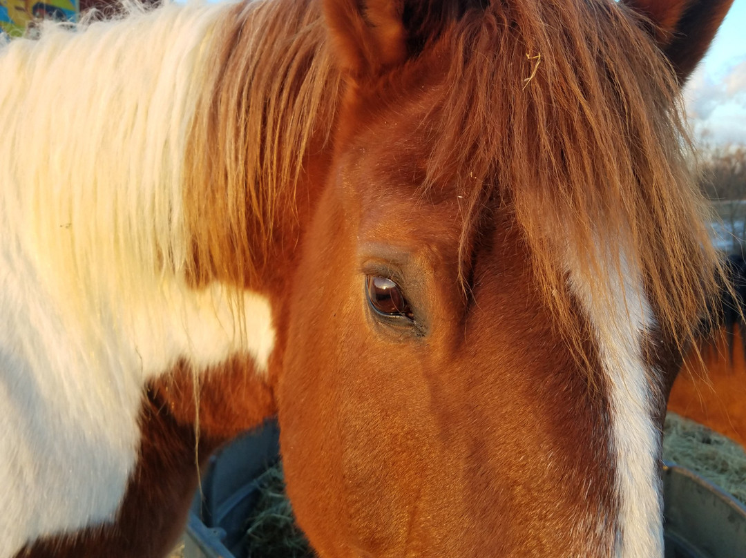 First Farm Inn主图