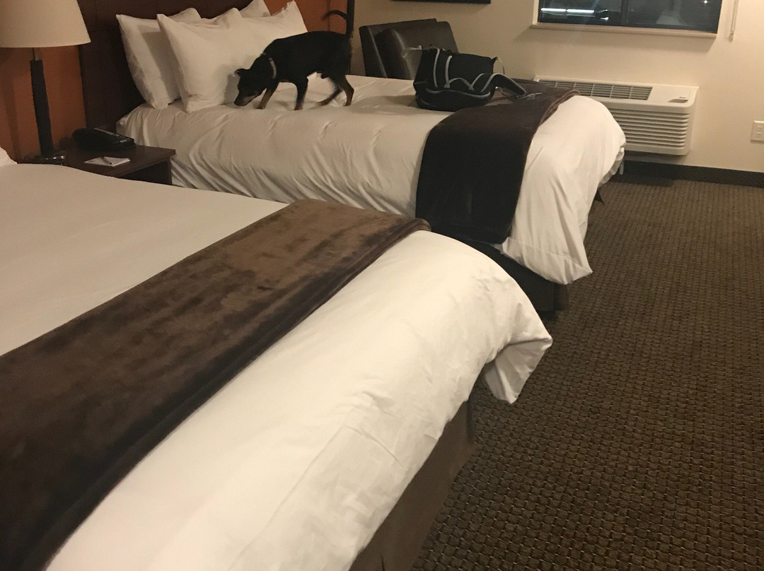 My Place Hotel-Nashville East/Lebanon, TN主图