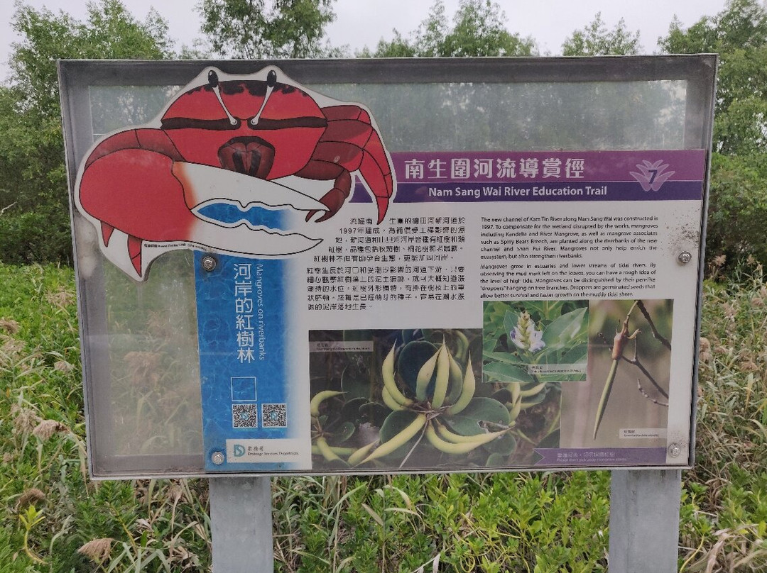 南生围-香港必去景点