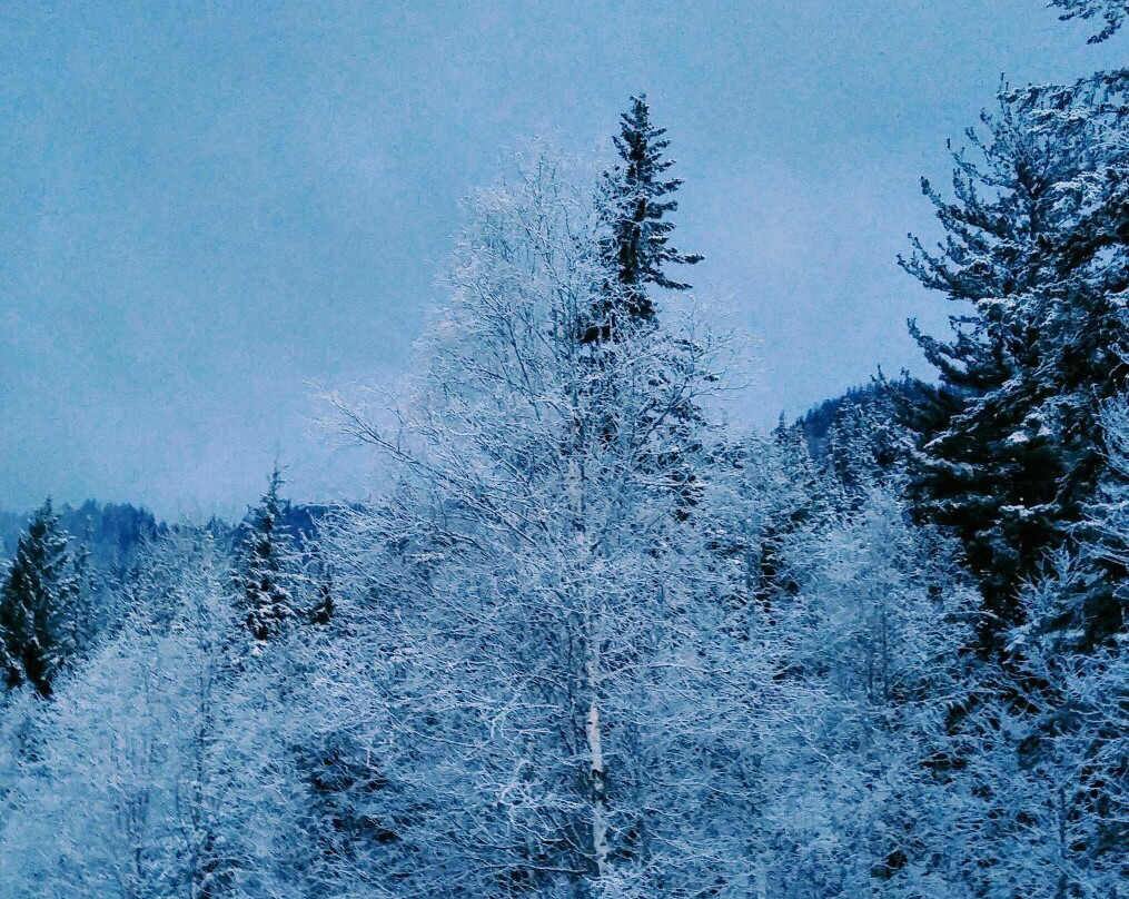 Bieri's Paradise Guest Farm主图