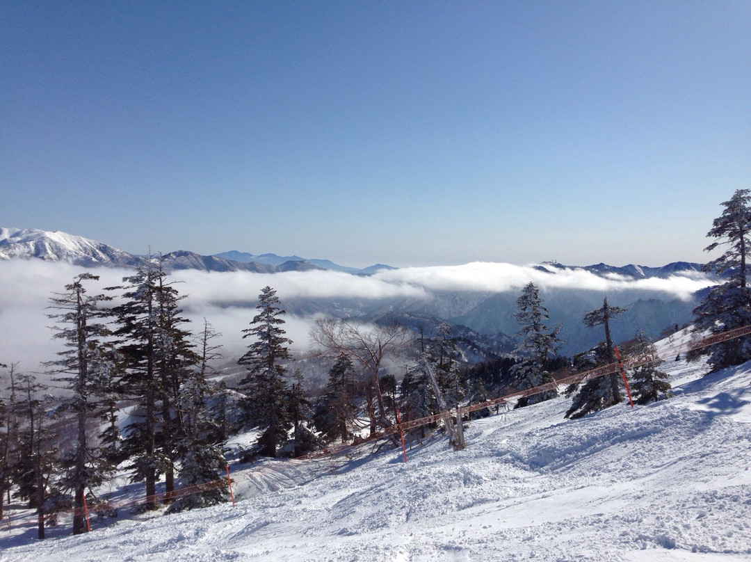 Kagura Ski Resort景点图片