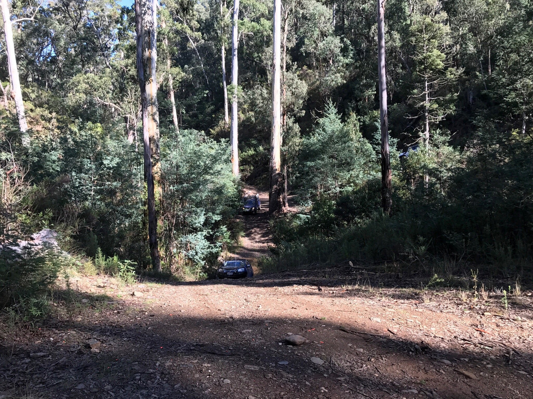 Aberfeldy Four Wheel Drive Track-Aberfeldy必去景点