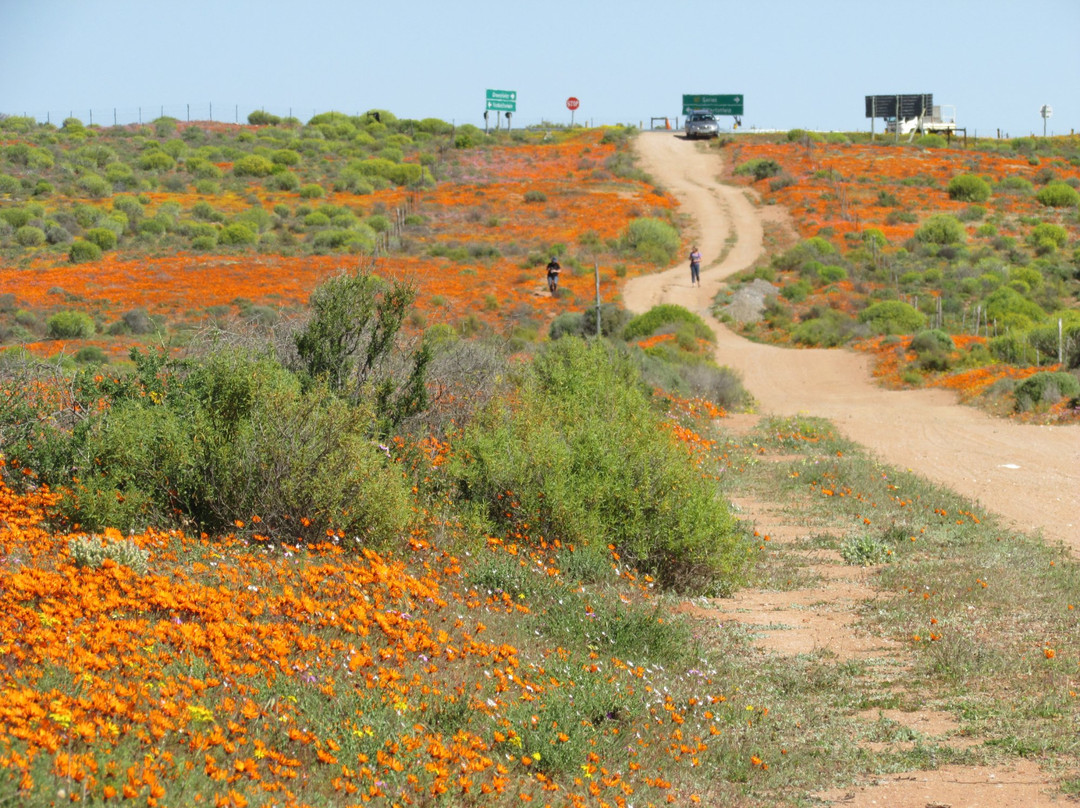Garies旅游攻略图片