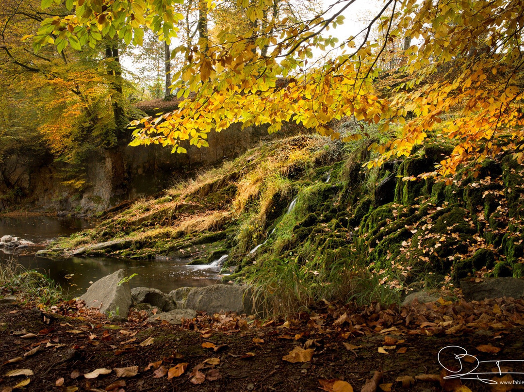 Hirson旅游攻略图片