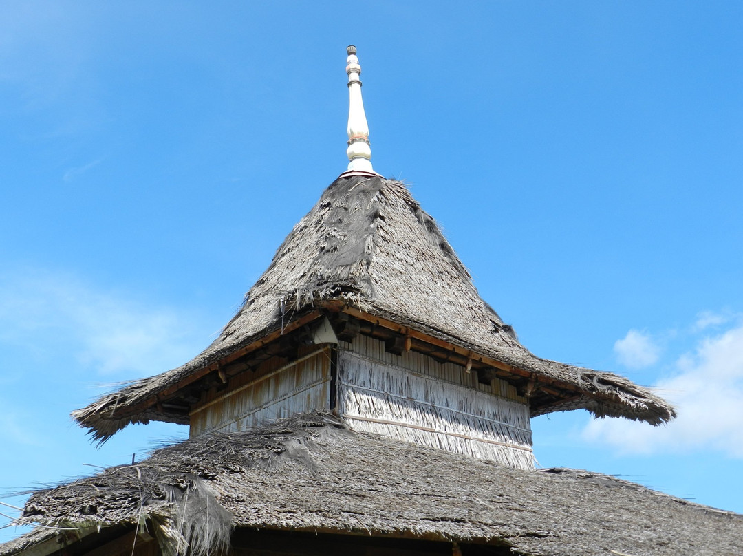 Wapauwe Mosque景点图片
